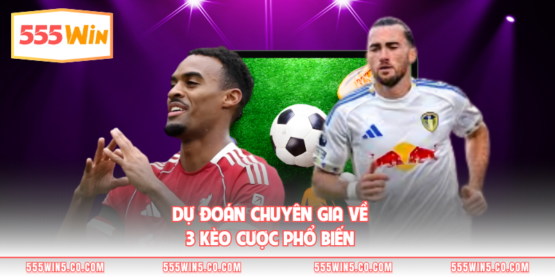 Dự đoán chuyên gia về 3 kèo cược phổ biến 